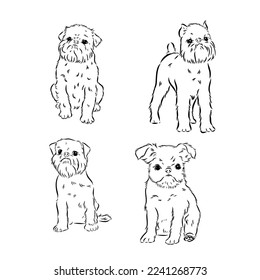 Brussels Griffon Dog, Pet Portrait, Brussels Griffon Dog Line Art, Pet Line Art, Pet Tattoo, Line Drawing, Dog Art, Minimalist