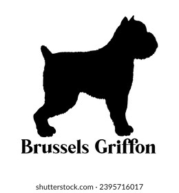 Brussels Griffon Dog silhouette dog breeds dog monogram logo dog face vector