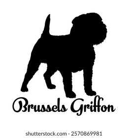 Brussels Griffon dog silhouette, dog breeds, logo, vector, silhouette,  animal, illustration, icon, sign, design, black, symbol, pet, love
