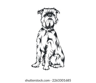Ilustración del vector de perro de Griffon de Bruselas, vector de raza Griffon de Bruselas sobre fondo blanco para camisetas, logotipo y otros