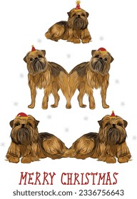 Brussels griffon dogs wearing winter hats. Cute detailed illustration of dogs. Abstract Christmas tree. Merry Christmas greeting card with the cute funny sitting and standing dogs, holiday, purebred.