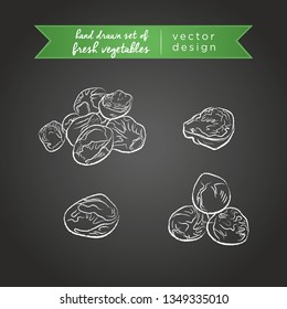 Brussels sprout. Set of fresh vegetables, whole, half and bitten with leaf. Vector illustration. Isolated on blackboard	