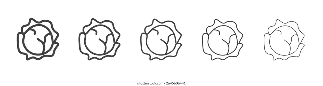 Símbolo de Vector de ilustración de contorno de repollo de coles de Bruselas