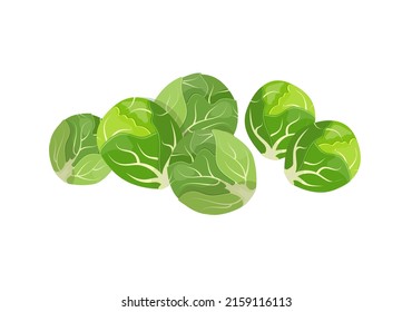 Brussels sprouts, flat style vector illustration isolated on white background