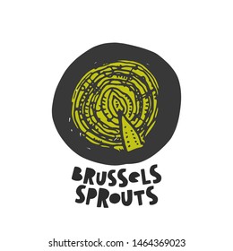 Brussels sprouts icon. Hand drawn realistic vector illustration. Organic vegetable. Eco food. Farm market product. Isolated white background. Can be used for shop, menu, card, poster, label