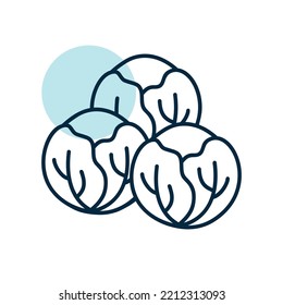 Brussels sprouts isolated design vector icon. Vegetable sign. Graph symbol for food and drinks web site, apps design, mobile apps and print media, logo, UI