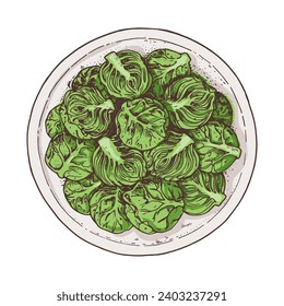 Brussels sprouts on a plate hand drawn. Vector illustration. Top view. Healthy food.