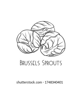 Bruselas brota el vector contorno. Verduras verdes al estilo de las caricaturas. Ilustración de una pila de brotes de Bruselas.