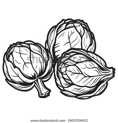 Brussels sprouts silhouette. Black flat color line art simple elegant white background Brussels sprouts vegetable vector and illustration.