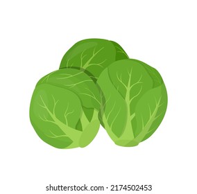 Bruselas brota. Ilustración vectorial de verduras vegetarianas y sanas.