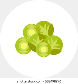 Brussels sprouts vegetable icon