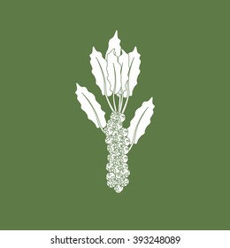 Brussels sprouts vegetable icon isolated on a green background. Vector illustration
