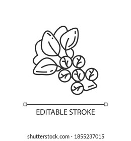 Brussels sproutspixel perfect linear icon. Healthy cabbege types. Eco foods variety. Thin line customizable illustration. Contour symbol. Vector isolated outline drawing. Editable stroke