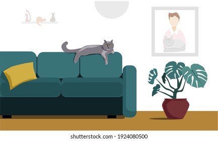 A brutal British cat lies on the back of a sofa in a cozy living room. A painting, cat figurines, and a flower. Interior of the living room. Vector