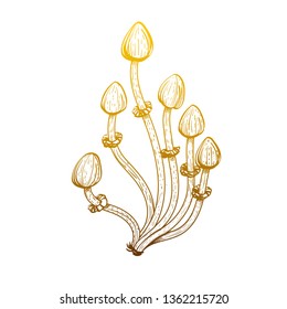 Brutal style Alice in Wonderland collection. Doodle magic mushroom on a white background.