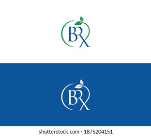 formato de pasos de diseño de logotipo brx