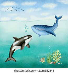 Bryde's whale and killer whale under sea