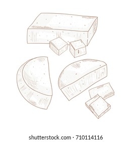 Brynza. Milk product. Sketch. Set.