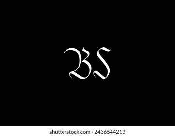 BS alphabet letters monogram icon logo