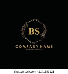BS Beauty vector initial logo, handwriting logo of initial signature, wedding, fashion, jewerly, boutique, floral and botanical with creative template for any company or business.
