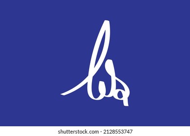 bs handwritten logo for identity. bs initial handwritten calligraphy, for monogram and logo. 
