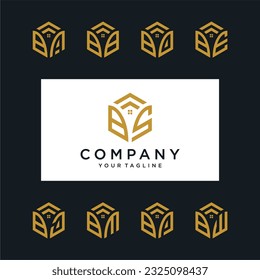 BS Hexagon logo vector. Hexagon logo design with two initials,  Real estate and construction.