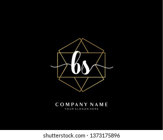BS initial handwriting logo geometric template vector