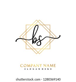 BS Initial Handwriting logo template vector