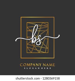 BS Initial Handwriting logo template vector