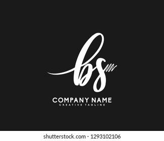 BS Initial Handwriting Logo Template Vector