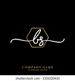 BS Initial handwriting logo template