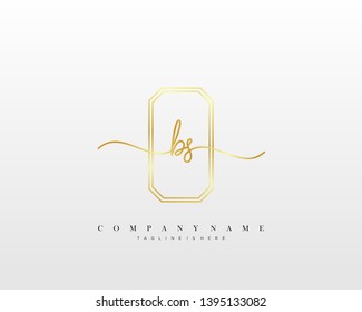BS initial handwriting logo template vector