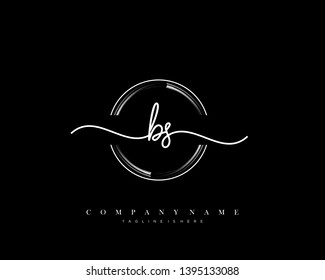BS initial handwriting logo template vector