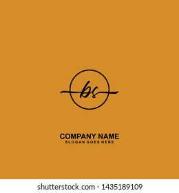 BS Initial handwriting logo template vector
