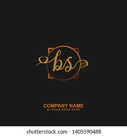 BS Initial handwriting logo vector