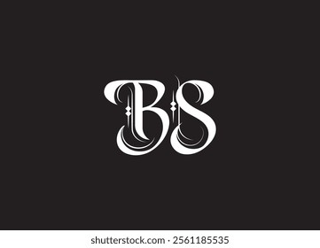 BS initial letter logo design and minimalist logo