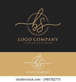 BS Initial letters, handwriting signature logo.