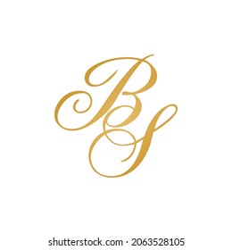 BS initial logo design vektor stock