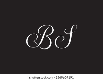 BS letter logo and initial logo design