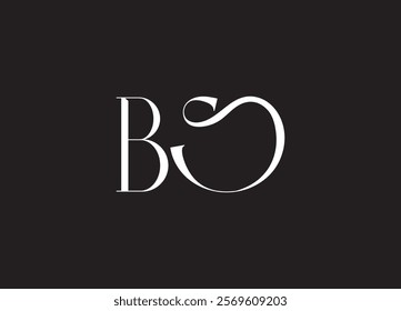 BS letter logo and initial logo design