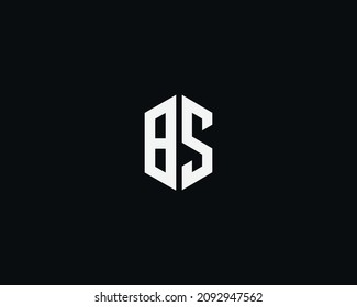BS letter logo vector template Creative modern shape colorful monogram hexagon logo company
