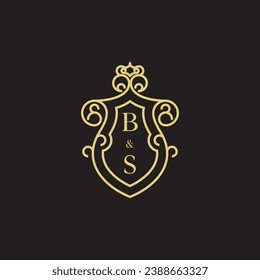 BS line vintage initial logo in high quality professional design that will print well across any print media
