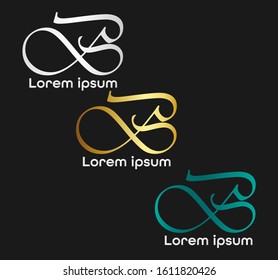 BS Logo Design Vector colorful