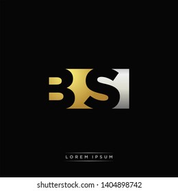 BS Logo Letter with Negative space and Gold combination silver color
