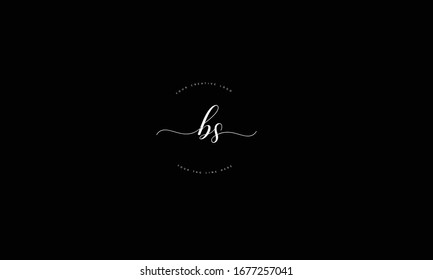 BS SB abstract vector logo monogram template