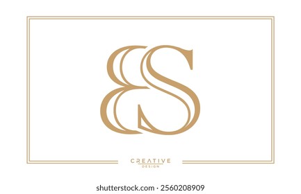 BS, SB, B, S, Abstract Letters Logo Monogram