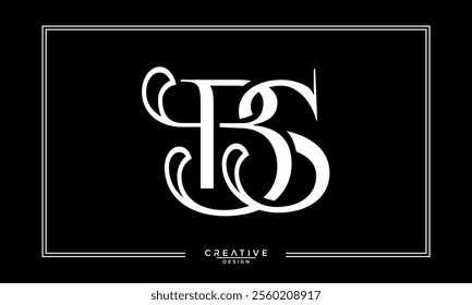 BS, SB, B, S, Abstract Letters Logo Monogram