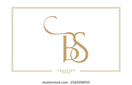 BS, SB, B, S, Abstract Letters Logo Monogram