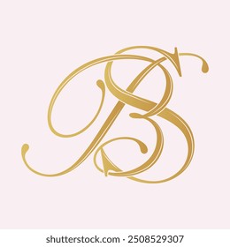 BS, SB, logotipo BS, letra BS , monograma BS, Vector, logotipo, Boda Iniciales del monograma, logotipo de la Boda, monograma de la Boda, diseño del logotipo