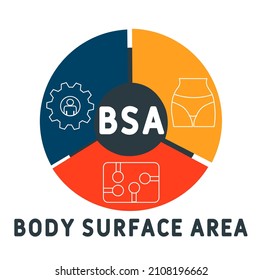 BSA - Acrónimo de superficie corporal. fondo de concepto de negocio.  concepto de ilustración vectorial con palabras clave e iconos. ilustración con iconos para banner web, volante